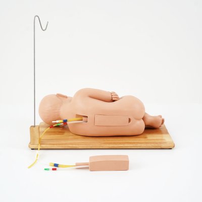 P020 หุ่นฝึกการเจาะน้ำไขสันหลังเด็ก 1-2ขวบ / Child Lumbar Puncture Simulator