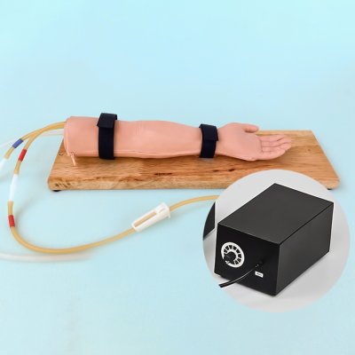 P048 หุ่นฝึกการเจาะหลอดเลือดแดงเด็ก  5 ขวบ (กล่องชีพจร) / Artery Puncture Arm Model