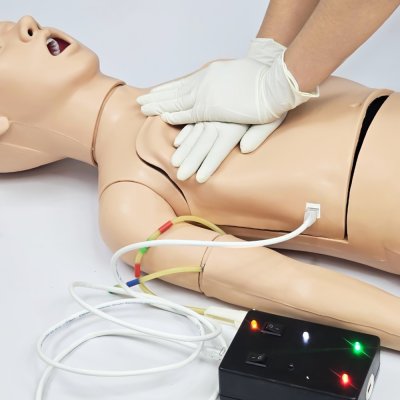 P052 หุ่นฝึกช่วยฟื้นคืนชีพเด็กโต (10 ขวบ) / Child CPR Training Model