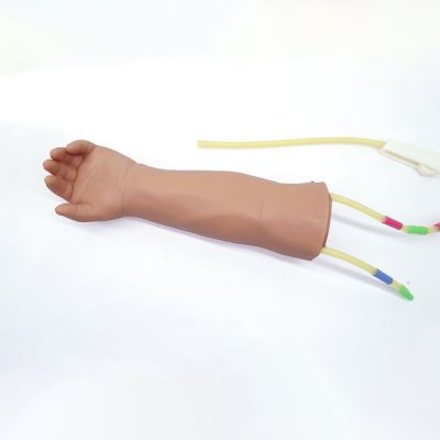 P060 หุ่นแขนฝึกการเจาะหลอดเลือดดำเด็กทารก (IV)