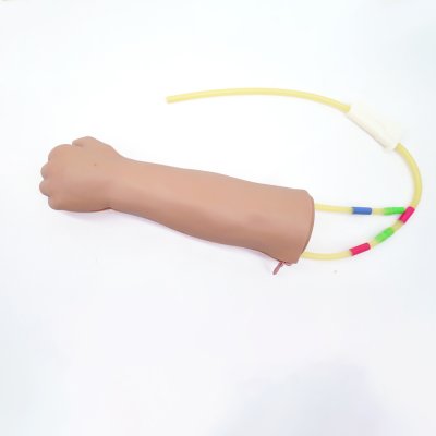 P060 หุ่นแขนฝึกการเจาะหลอดเลือดดำเด็กทารก (IV)