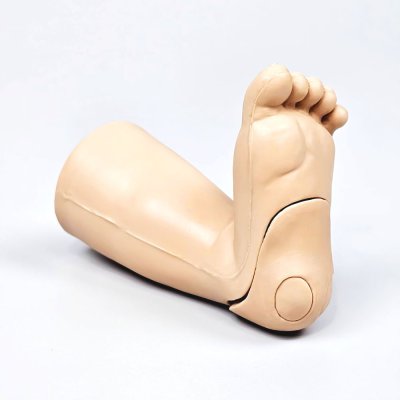 P077 หุ่นฝึกการฉีดยาและเจาะส้นเท้าทารก(แบบมีเลือด) / Infant Heel Simulator