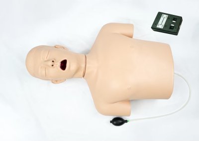 A008 หุ่นฝึกการใส่ท่อช่วยหายใจผู้ใหญ่และการทำ CPR