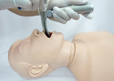 A  004 หุ่นฝึกการใส่ท่อช่วยหายใจผู้ใหญ่  (แบบยาก)  Airway Intubation Simulator (Difficultly)
