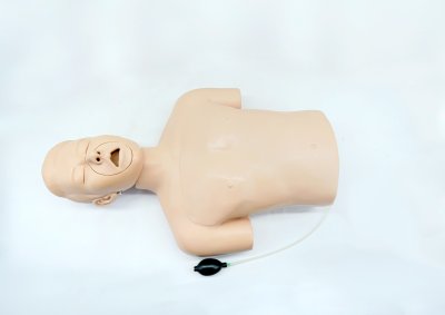 A 006 หุ่นฝึกการทำ CPR