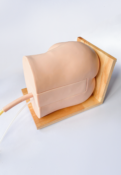 A  003 หุ่นฝึกทำ Epidural  Injection  Epidural Injection  Simulator