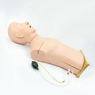 S065 หุ่นฝึกการใส่สายให้อาหารทางจมูก (NG) / Nasogastric Tube Intubation  Model