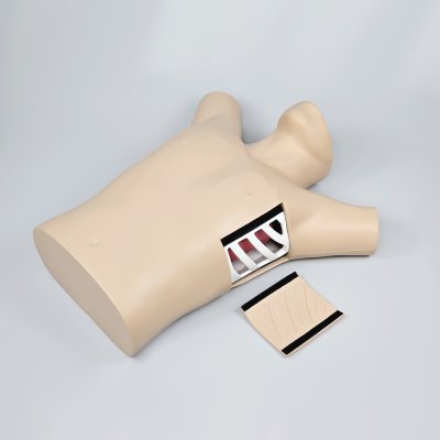 S042 หุ่นฝึกการใส่สายระบายทรวงอก / Chest Drainage Simulator