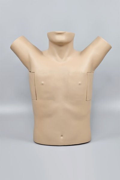 S042 หุ่นฝึกการใส่สายระบายทรวงอก / Chest Drainage Simulator