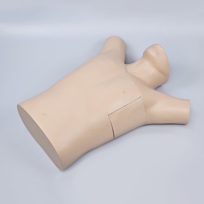 S042 หุ่นฝึกการใส่สายระบายทรวงอก / Chest Drainage Simulator