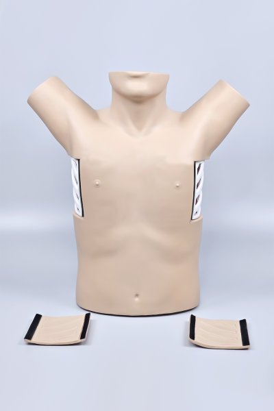 S042 หุ่นฝึกการใส่สายระบายทรวงอก / Chest Drainage Simulator