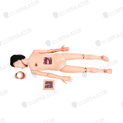 S075-1 หุ่นฝึกชันสูตรชาย