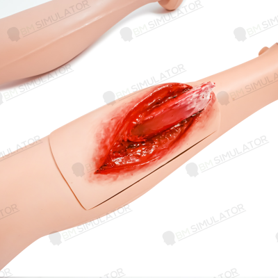 S075-1 หุ่นฝึกชันสูตรชาย