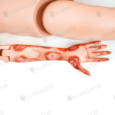 S075-1 หุ่นฝึกชันสูตรชาย