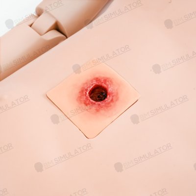 S075-1 หุ่นฝึกชันสูตรชาย