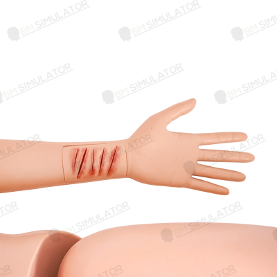 S075-1 หุ่นฝึกชันสูตรชาย