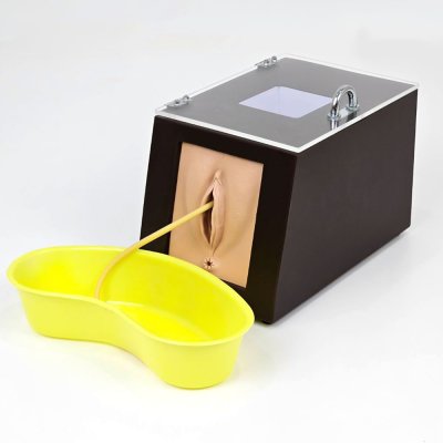 S002 หุ่นฝึกใส่สายสวนปัสสาวะหญิง (แบบกล่อง) / Urethral  Catheterization