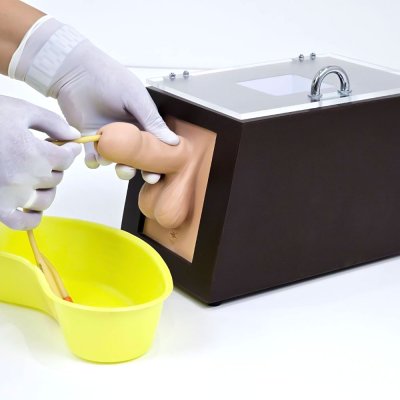 S001 หุ่นฝึกใส่สายสวนปัสสาวะชาย  (แบบกล่อง) / Male  Urethral  Catheterization Model