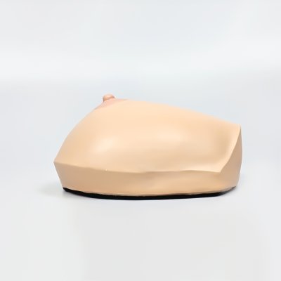 S009 หุ่นฝึกตรวจเต้านมสตรี / Breast Examination Simulator