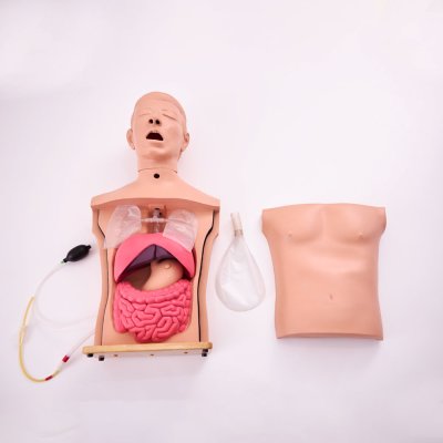 S033 หุ่นฝึกการใส่สาย NG และดูแลท่อหลอดลมคอ / Nasogastric Tube Intubation  and Tracheostomy Tube  Care Model