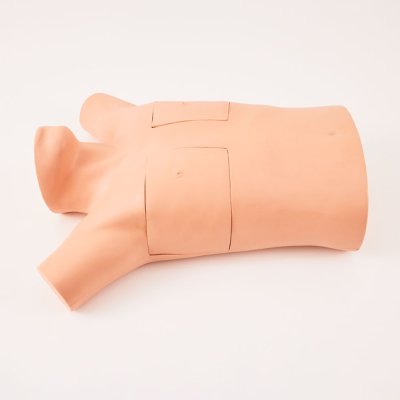 S042 หุ่นฝึกการใส่สายระบายทรวงอก / Chest Drainage Simulator