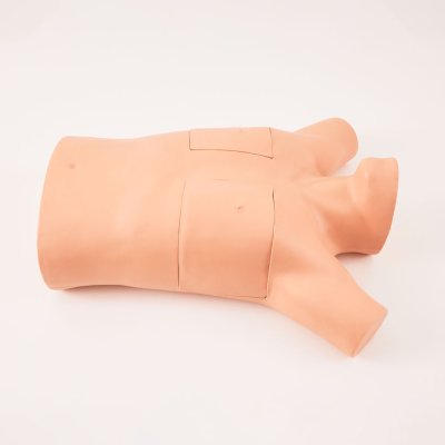 S042 หุ่นฝึกการใส่สายระบายทรวงอก / Chest Drainage Simulator