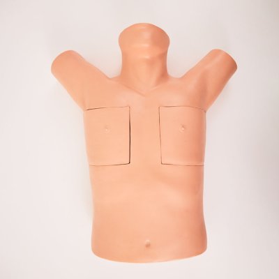 S042 หุ่นฝึกการใส่สายระบายทรวงอก / Chest Drainage Simulator