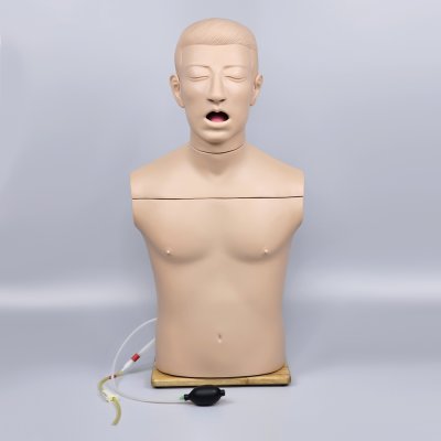 S065 หุ่นฝึกการใส่สายให้อาหารทางจมูก (NG) / Nasogastric Tube Intubation  Model