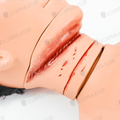 S075-1 หุ่นฝึกชันสูตรชาย