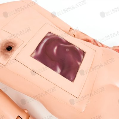 S075-1 หุ่นฝึกชันสูตรชาย