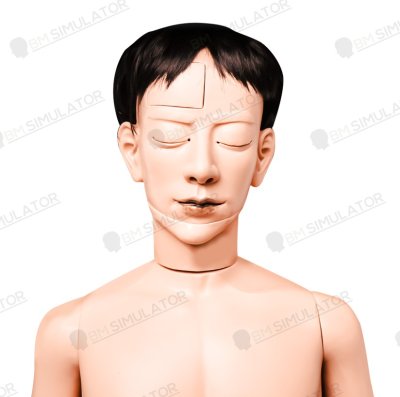 S075-1 หุ่นฝึกชันสูตรชาย