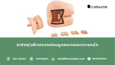 S027 หุ่นฝึกการตรวจทวารหนักและต่อมลูกหมาก / Rectum and Prostate Examination Model