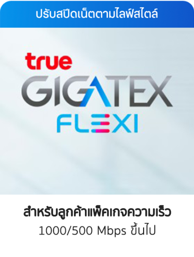 ปรับความเร็วได้