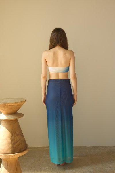 Twin Flowers - Mesh Ombre Skirt