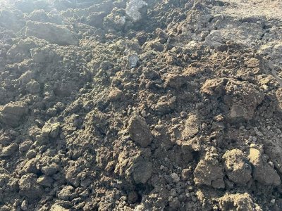 ขี้เค้กอ้อย (Filter Cake) วัสดุปรับปรุงดินคุณภาพ