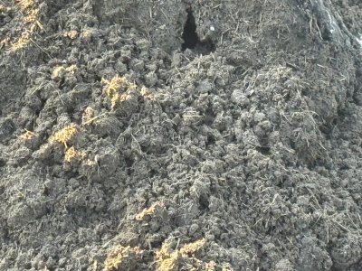 ขี้เค้กอ้อย (Filter Cake) วัสดุปรับปรุงดินคุณภาพ