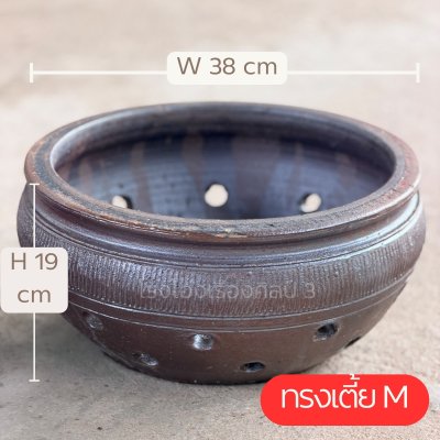 กระถางออร์คิด
