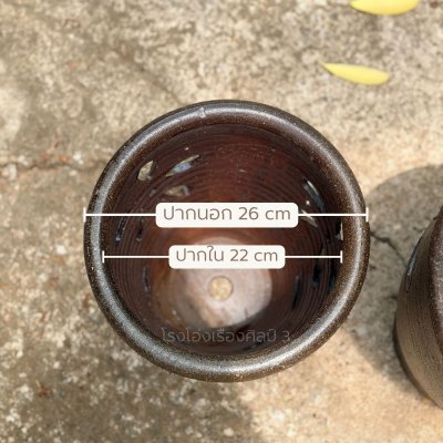กระถางออร์คิด