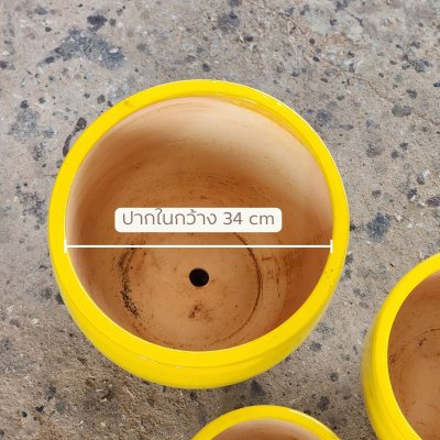 กระถางสีเหลืองเลม่อน