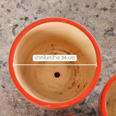 กระถางฟรุ๊ตพั้นซ์