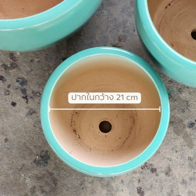 กระถางกรีนมิ้น