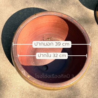 กระถางลายมังกร ขอบตัด