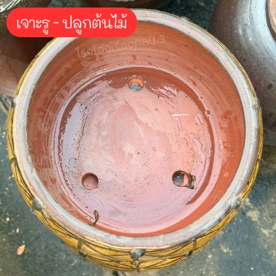 Cut-Rim Plant Pot Special Pattern