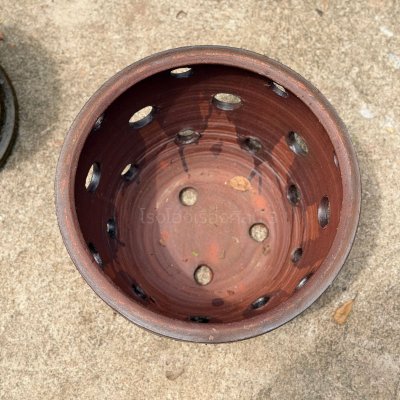 Special Pattern Egg Planter