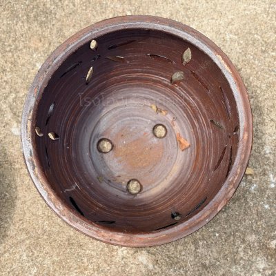 Special Pattern Egg Planter