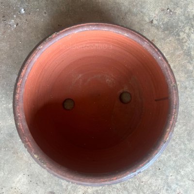 Bonsai plant pot
