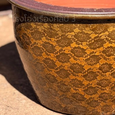 Special pattern plant pot