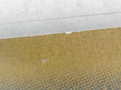 SN0031