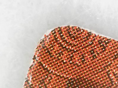 SN0065