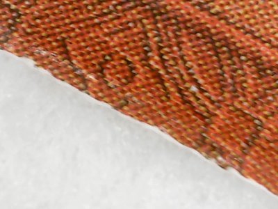 SN0065